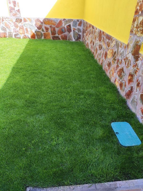 IMG-20211021-125014.jpg