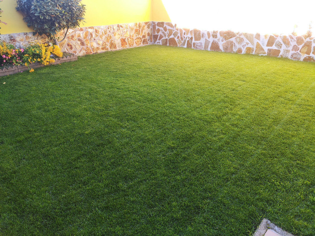 IMG-20211113-151542.jpg