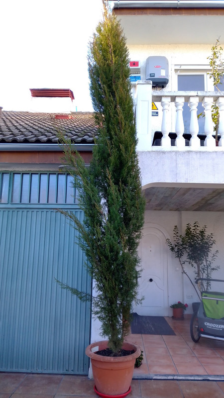 IMG-20220111-113453.jpg