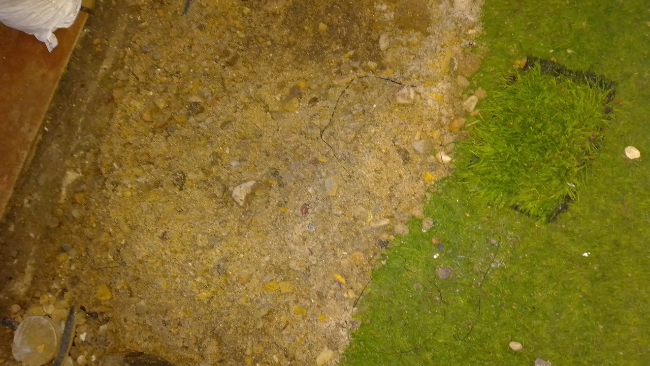 IMG-20220122-183402.jpg