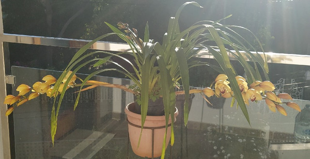 IMG-20220123-090956-2.jpg