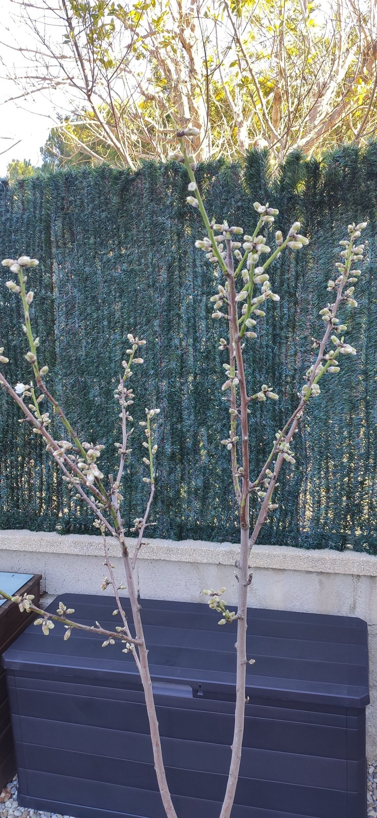 IMG-20220130-110134.jpg