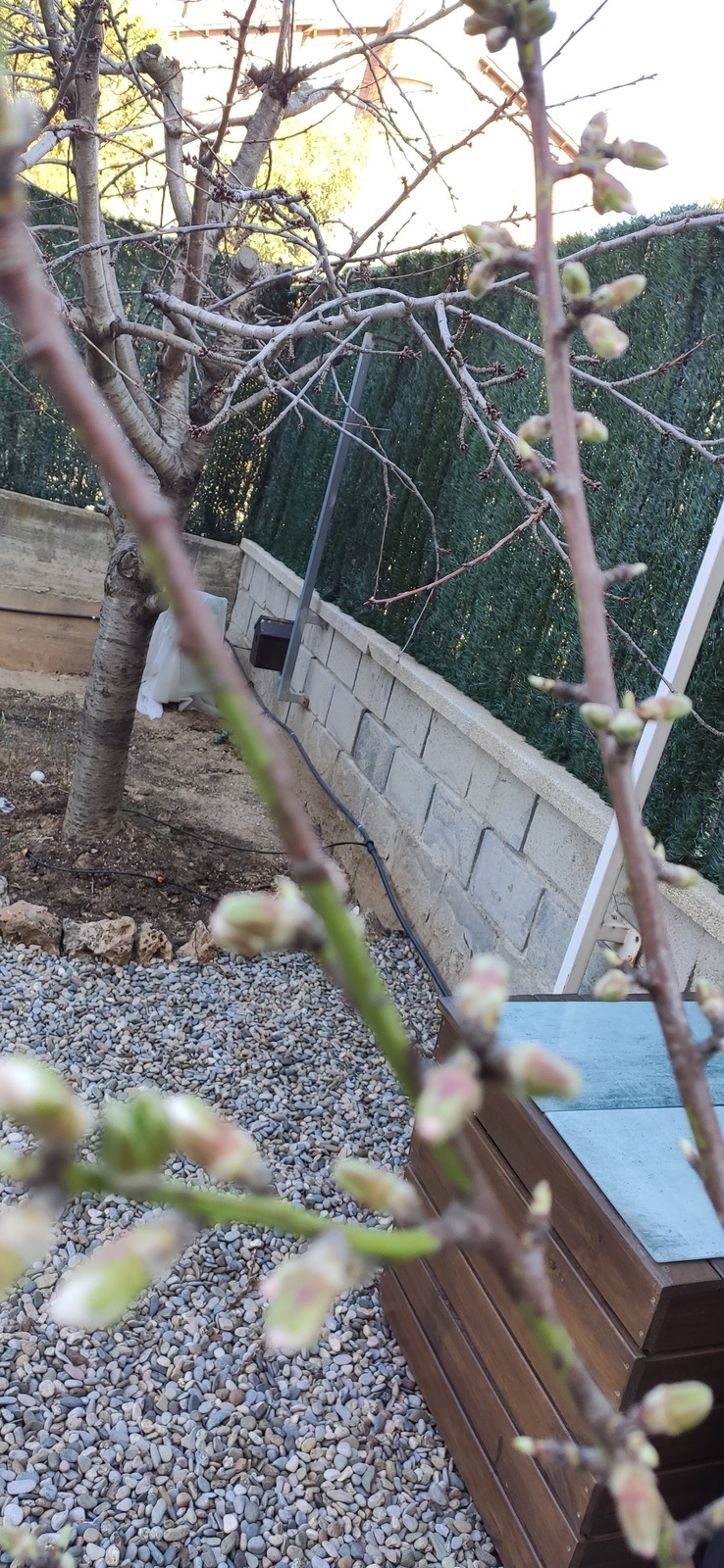 IMG-20220130-110159.jpg