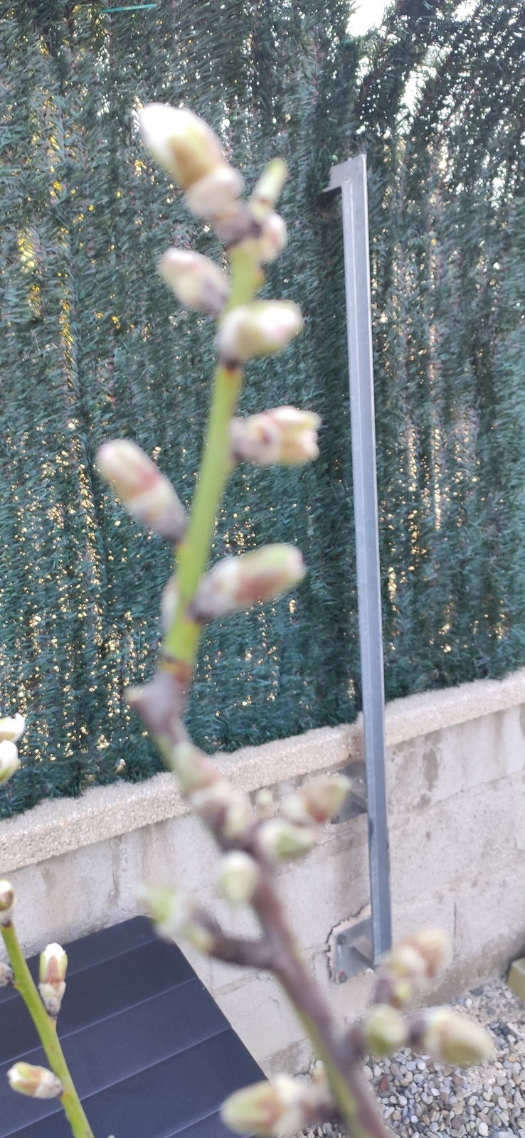 IMG-20220130-110233.jpg