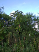 IMG-20220212-185751.jpg