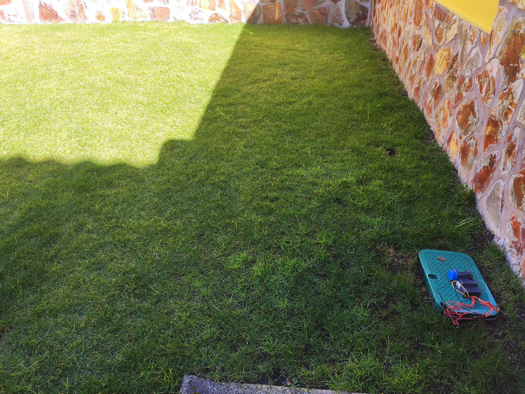 IMG-20220217-123727.jpg