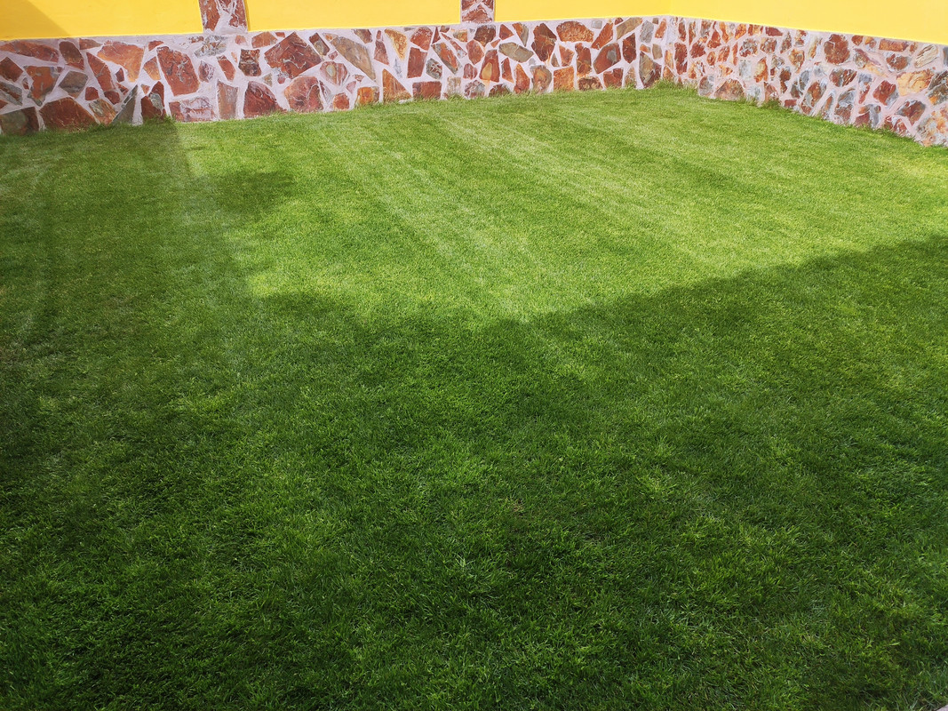 IMG-20220417-171727.jpg