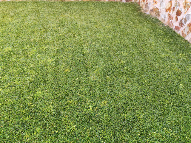 IMG-20220611-092616.jpg