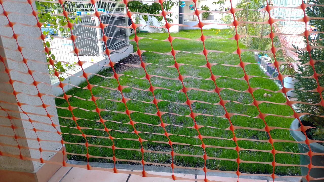 IMG-20220617-175903.jpg