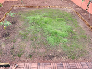 IMG-20220628-164211.jpg