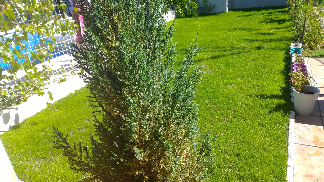 IMG-20220629-111819.jpg