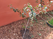 IMG-20220721-171453.jpg