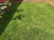 IMG-20220721-175050.jpg