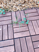 IMG-20220803-101631.jpg
