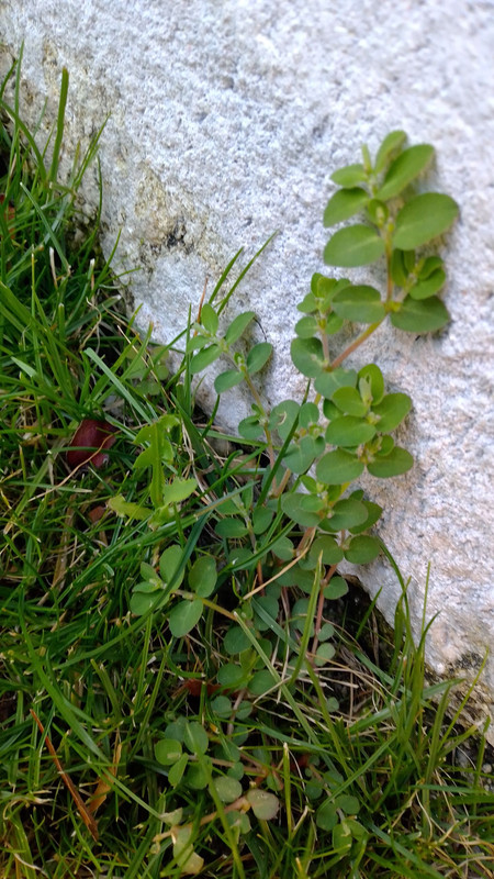 IMG-20220903-191844.jpg