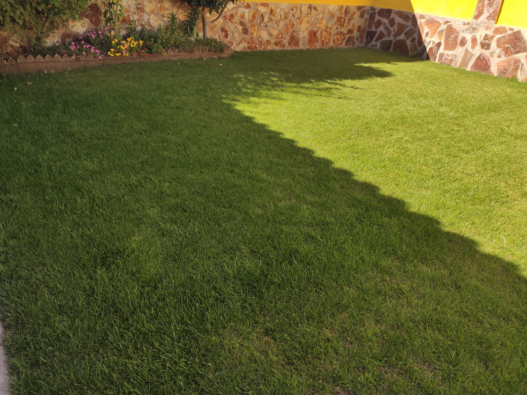 IMG-20220904-170513.jpg