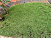 IMG-20220919-134420.jpg