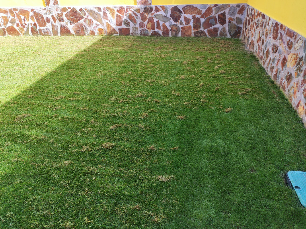 IMG-20220923-111334.jpg