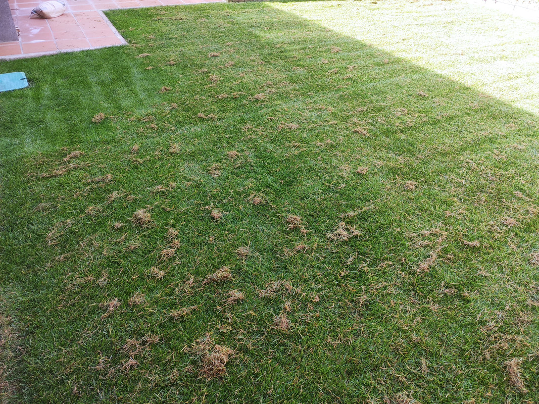IMG-20220923-111411.jpg