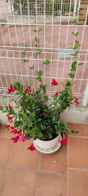 IMG-20221012-123105.jpg