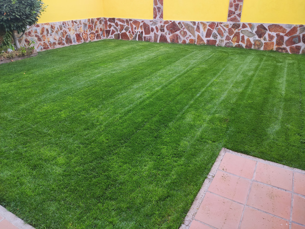 IMG-20221019-125249.jpg