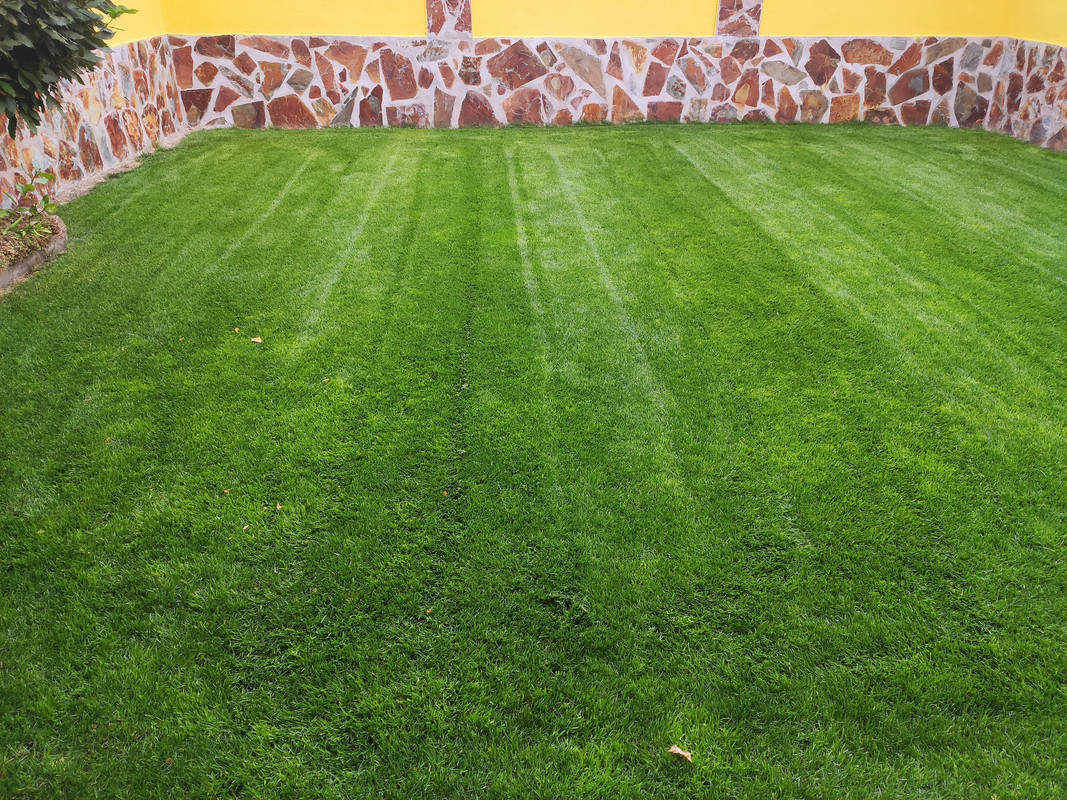 IMG-20221019-125257.jpg