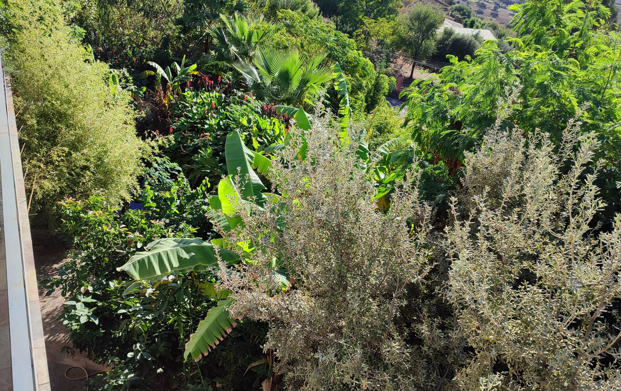 IMG-20221105-103120-V.jpg