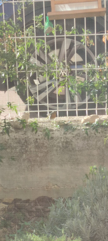 IMG-20221112-095233.jpg