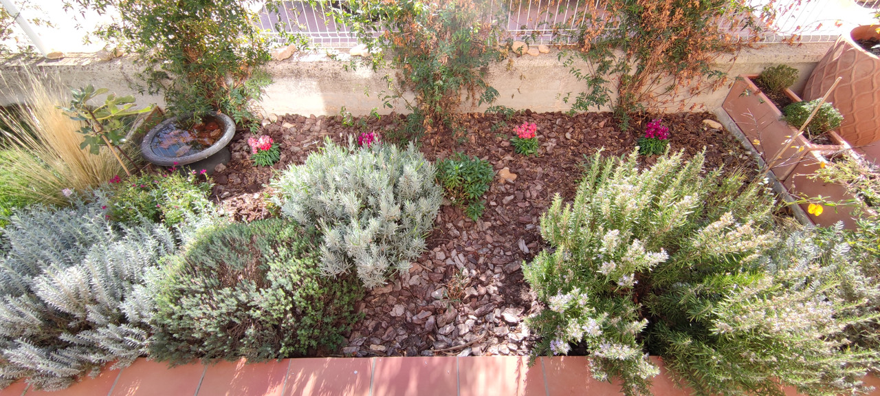 IMG-20221113-131921.jpg