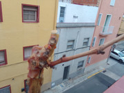 IMG-20221205-152009-1.jpg
