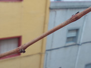 IMG-20221205-152028-1.jpg