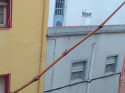 IMG-20221205-152034-1.jpg