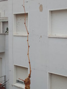 IMG-20221205-152212-1.jpg