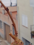 IMG-20221205-152249-1.jpg