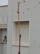 IMG-20221205-152257-1.jpg