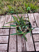 IMG-20230109-134428.jpg