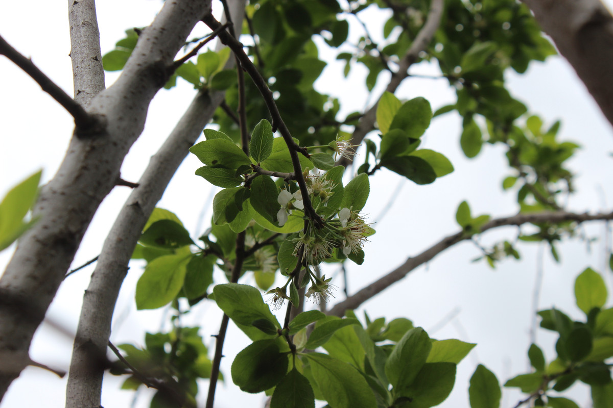 IMG-2143.jpg