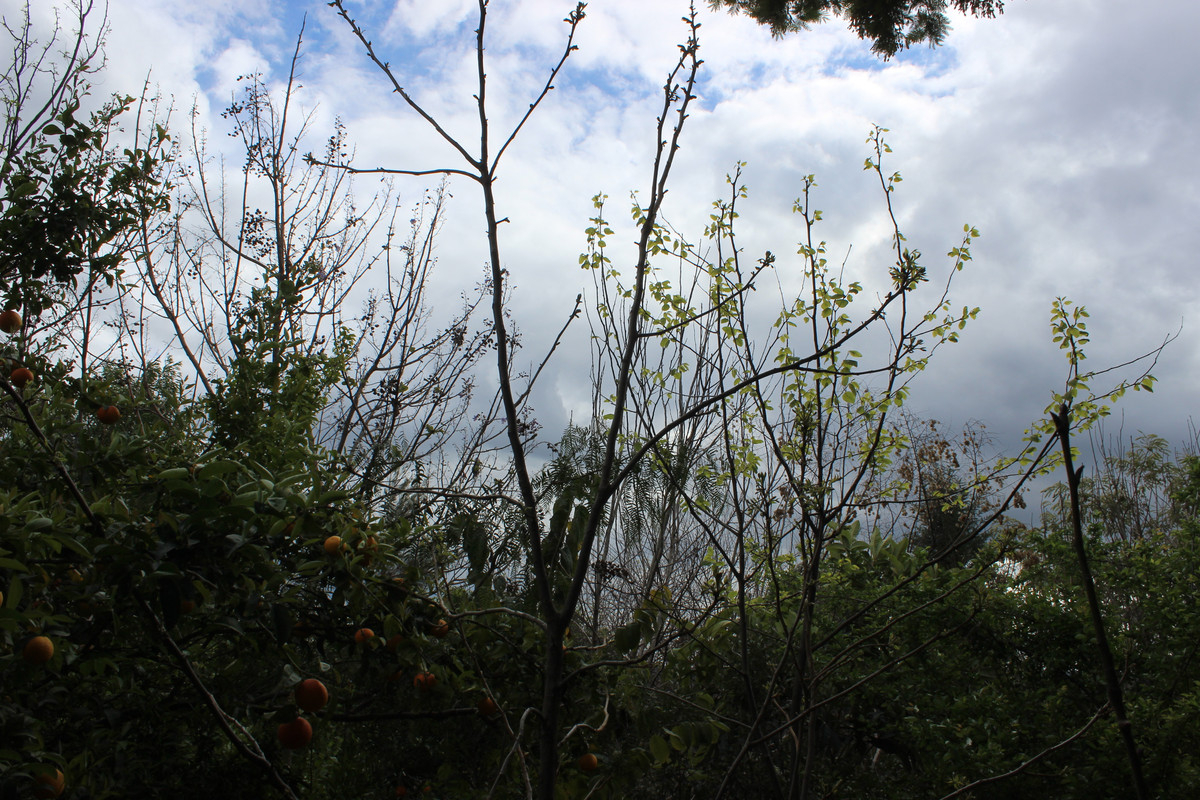 IMG-2160.jpg