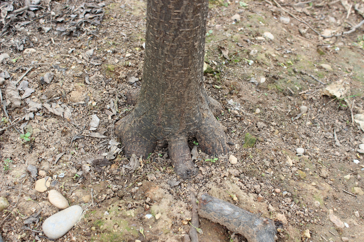IMG-2272.jpg