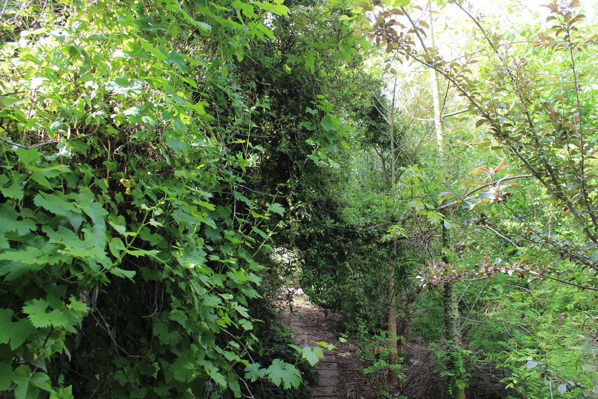 IMG-2623.jpg