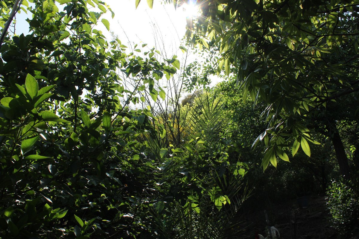 IMG-2637.jpg