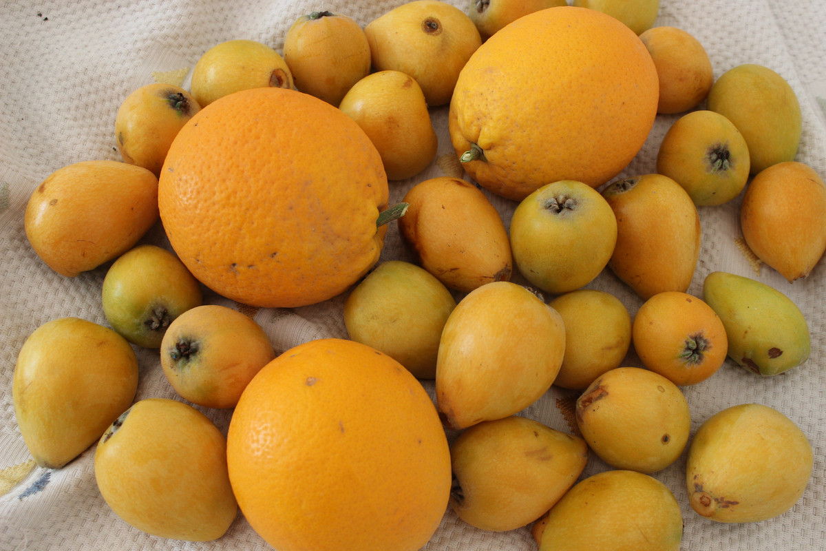 IMG-2784.jpg