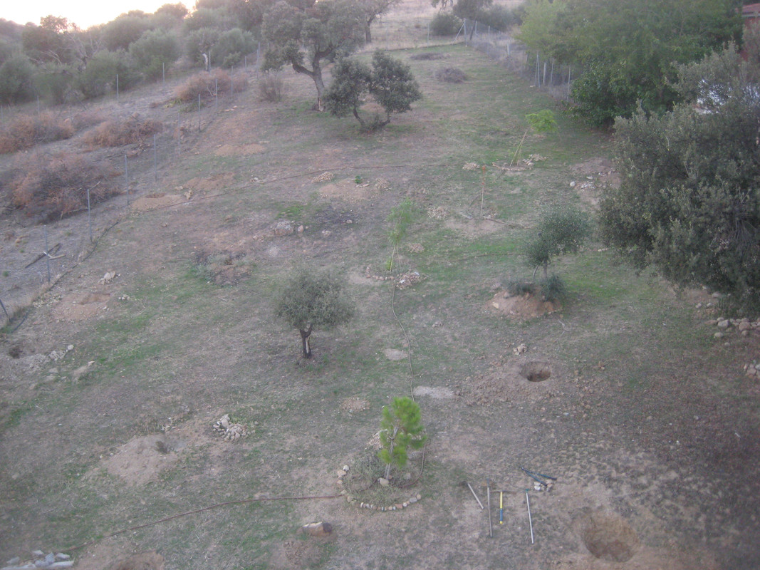 IMG-3238.jpg