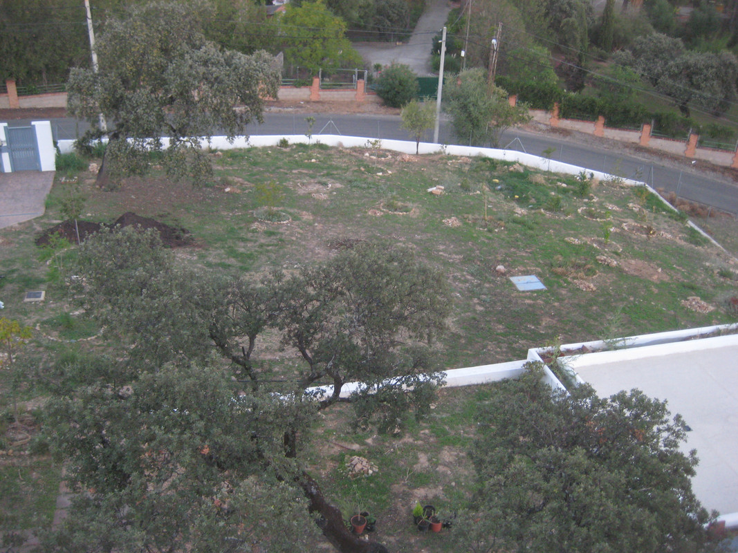 IMG-3241.jpg