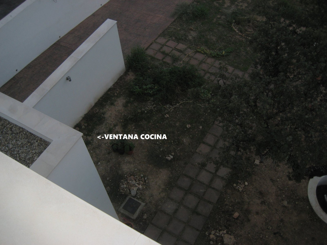 IMG-3243-V2.jpg