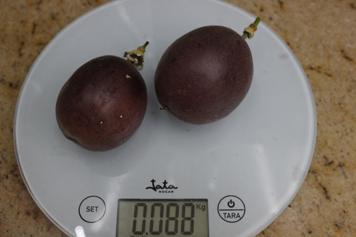 IMG-3322.jpg