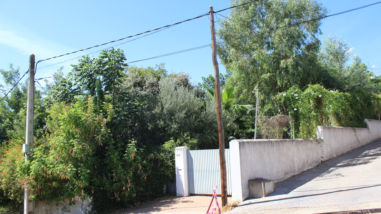 IMG-3832.jpg