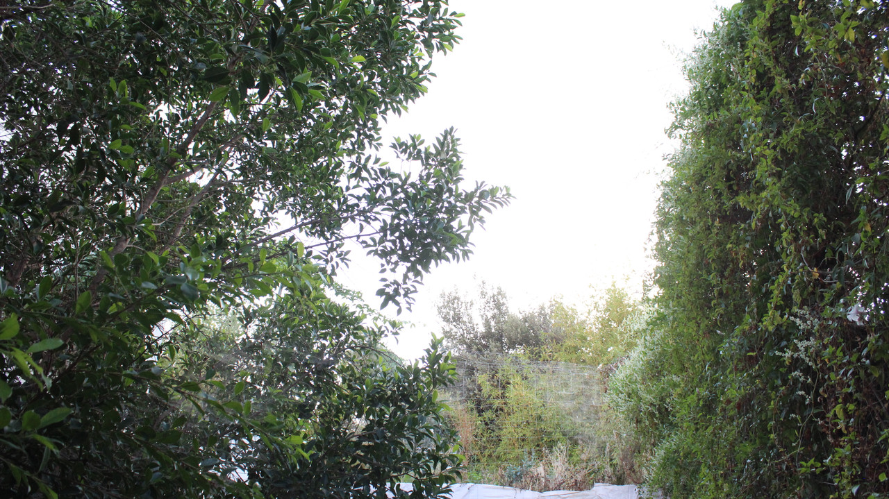 IMG-3922.jpg