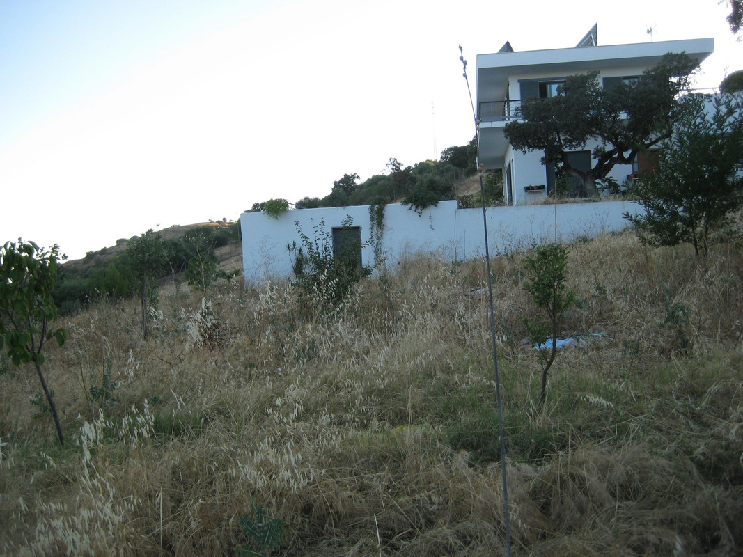 IMG-5608.jpg