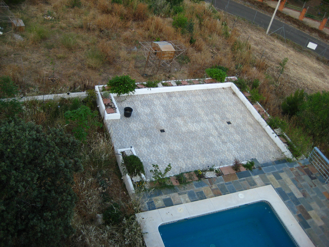IMG-6019.jpg